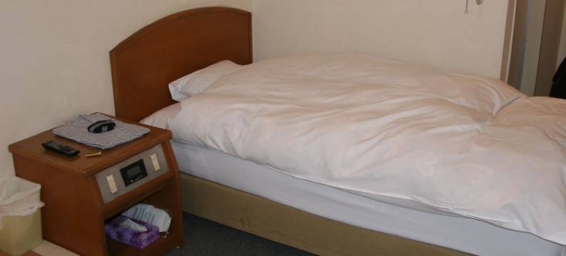 广岛和平饭店-宇品(Hiroshima Peace Hotel Ujina)图片