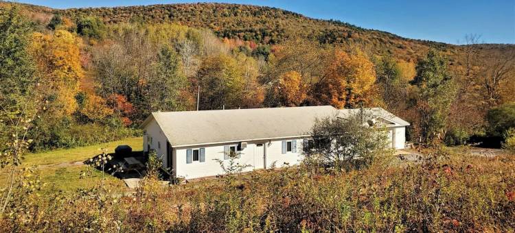 卡茨基尔度假屋(Catskill Retreat)图片