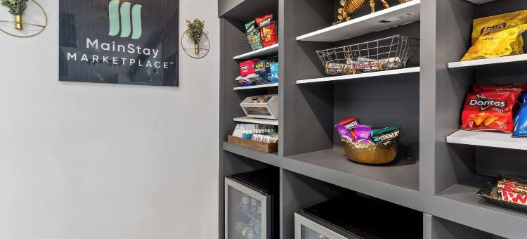 美茵斯坦套房酒店(MainStay Suites Columbia Harbison)图片