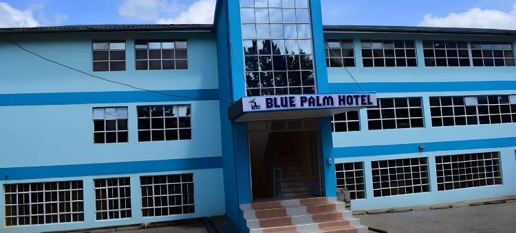 凯里乔蓝色棕榈酒店(Blue Palm Hotel)图片