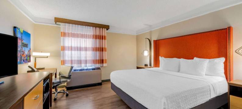 新奥尔良市中心拉昆塔温德姆套房酒店(La Quinta Inn & Suites by Wyndham New Orleans Downtown)图片