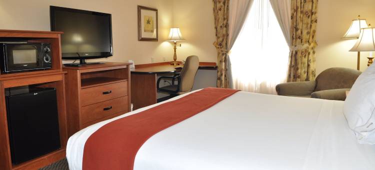 Holiday Inn Express 拉斯维加斯内利斯(Holiday Inn Express Las Vegas-Nellis)图片