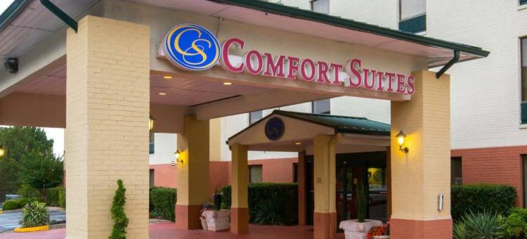 卡明舒适套房酒店 - 亚特兰大近福赛思北区医院(Comfort Suites Cumming-Atlanta Near Northside Hospital Forsyth)图片