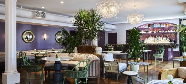 The Aster(阿斯特)(The Aster)图片