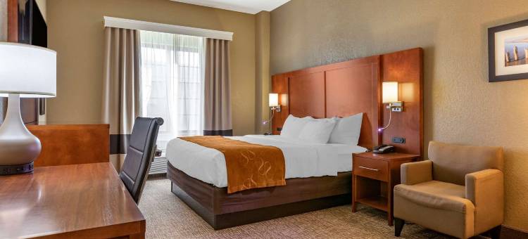 大急流城南舒适套房酒店(Comfort Suites Grand Rapids South)图片