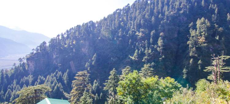 Fabhotel 果园度假屋(FabHotel Orchard Retreat)图片