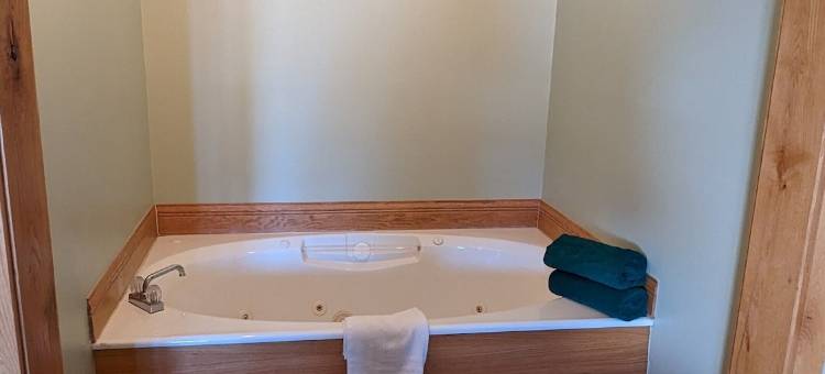 Nova汽车旅馆(The Nova Motel)图片