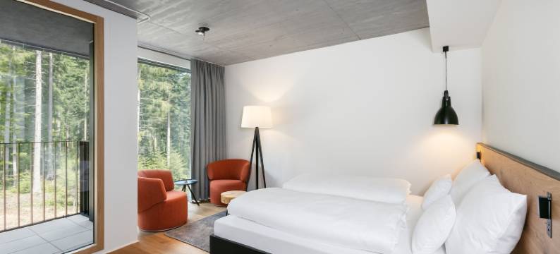 福里特兹拉特百德酒店(Fritz Lauterbad)图片