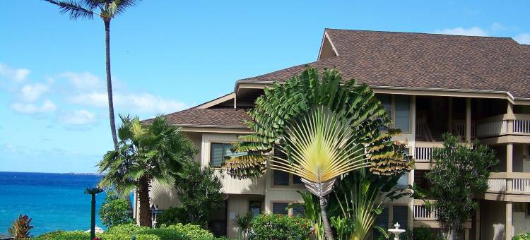 海洋村(Sea Village)图片