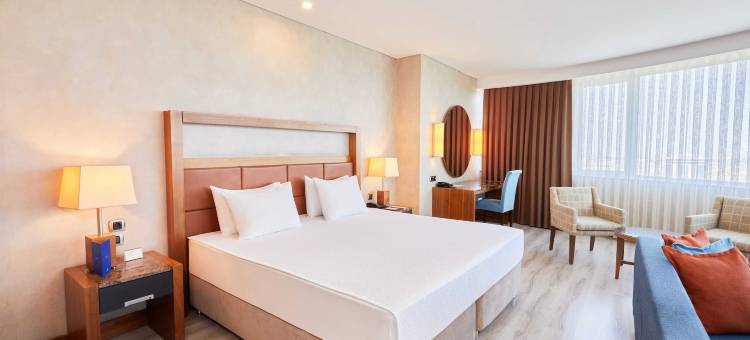 德德曼科尼亚酒店及会议中心(Dedeman Konya Hotel Convention Center)图片