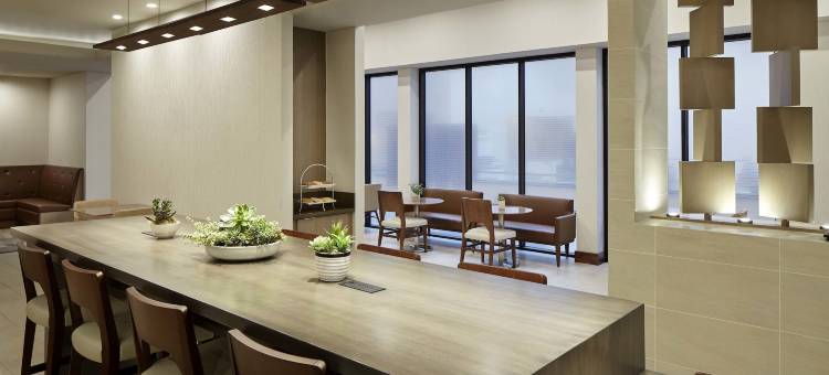 DFW机场南万豪酒店(Marriott DFW Airport South)图片