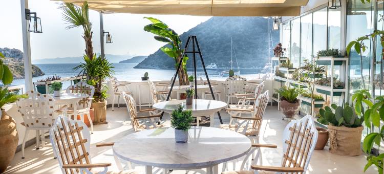 古穆斯卢克丽曼酒店(Liman Hotel Gümüslük - Adult Only)图片