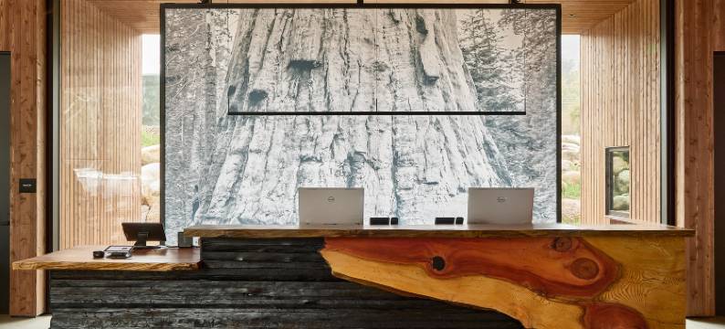 AutoCamp 红杉酒店(AutoCamp Sequoia)图片