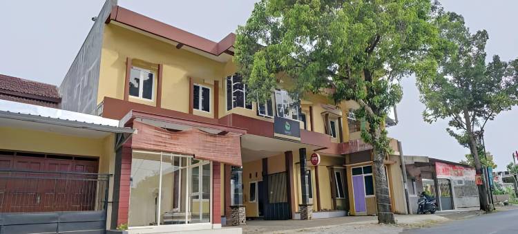 布罗莫家庭宾馆(Bromo Family Guest House)图片