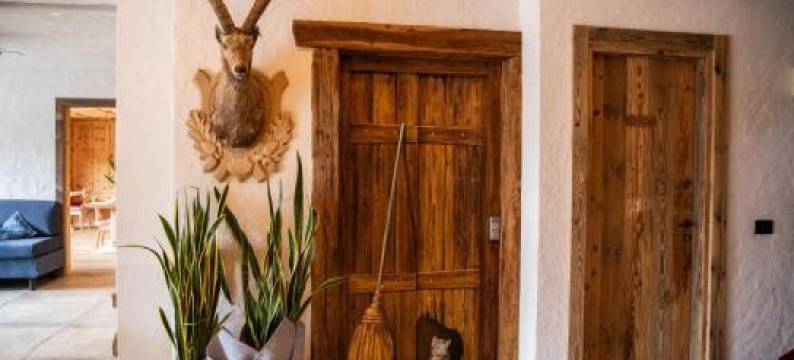 拉蒙塔尼娜酒店(Hotel la Montanina)图片