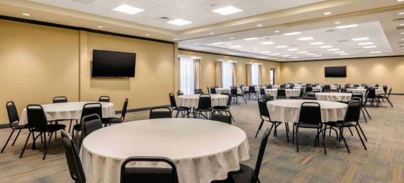 舒适套房酒店(Comfort Suites)图片