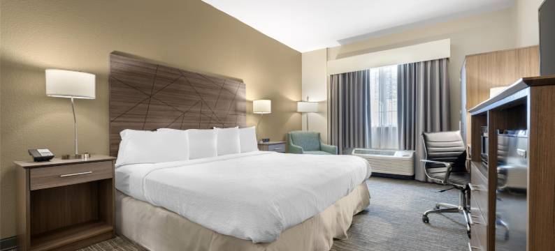 布罗克波特贝斯特韦斯特套房酒店(Best Western Brockport Inn  Suites)图片