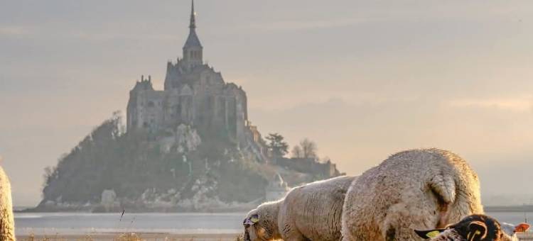 索尔特舍弗雷布早餐店(Bed and Breakfast Saultchevreuil, au Mont Saint Michel)图片