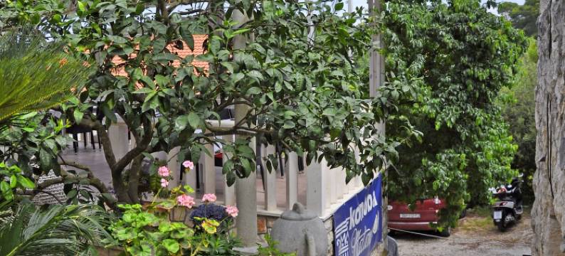 波梅纳马塔纳客栈(Guest House Matana Pomena)图片