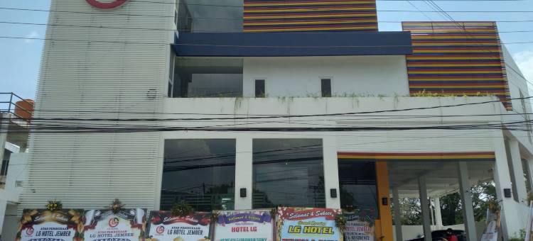 LG 酒店(LG Hotel)图片