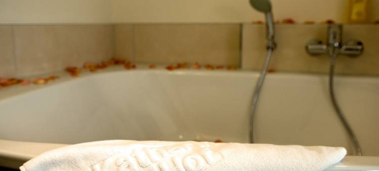 卡特琳恩霍夫林酒店(Ringhotel Katharinen Hof)图片