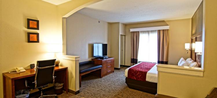 大学附近舒适套房酒店(Comfort Suites Near University)图片