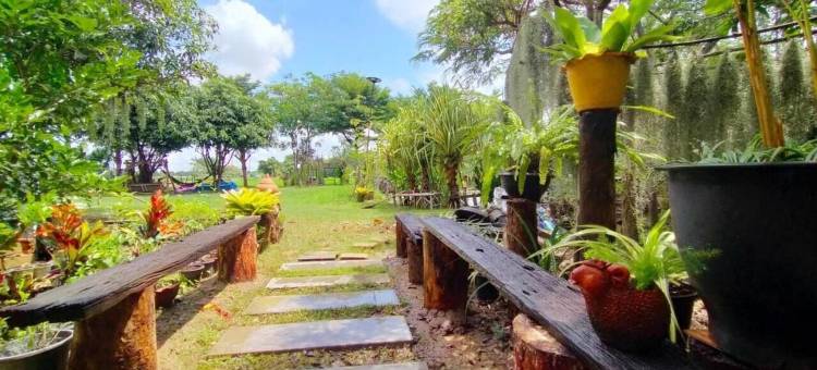 美塔乡村景观民宿(Singburi)(Metha Country View Homestay Singburi)图片