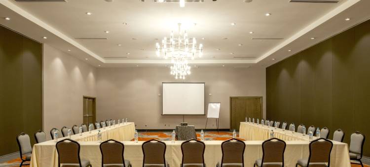 阿来萨沙露伊斯饭店(Hotel Araiza San Luis R.C.)图片