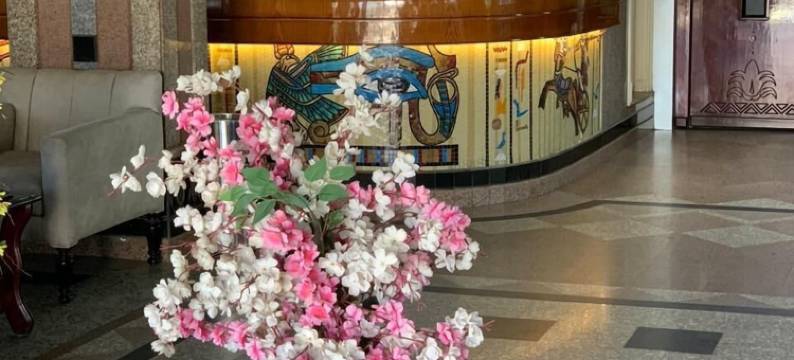 Teba酒店拉斯埃尔巴尔(Teba Hotel Ras El Bar)图片