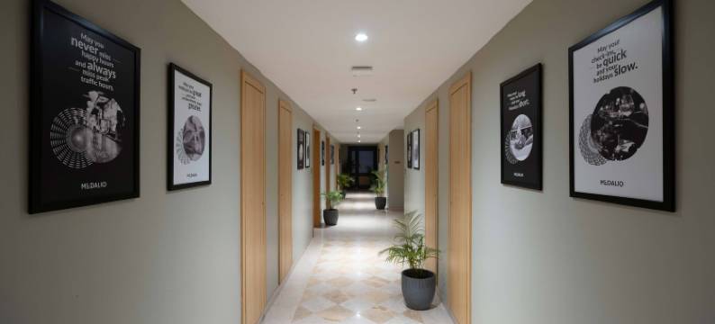 乌代布尔肖巴格普拉梅达里奥度假村(Medalio Resort Udaipur Shobhagpura)图片