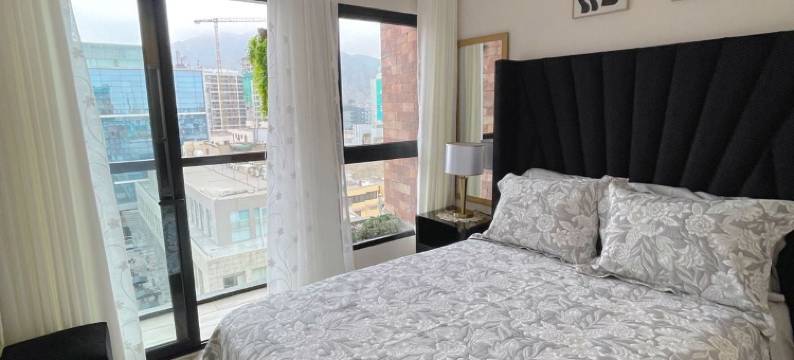 Monterrico马球公寓(Monterrico Polo Aparts)图片