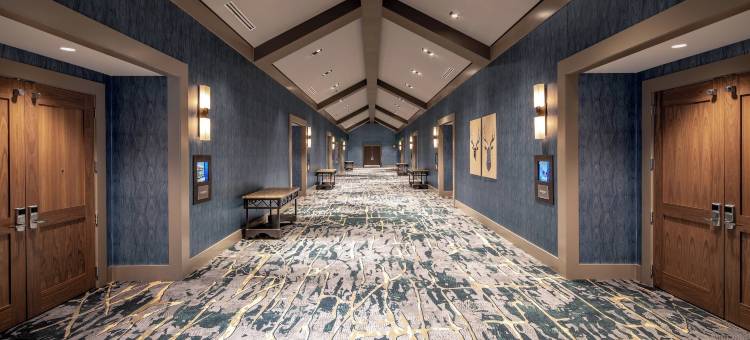 盖洛德洛基斯度假酒店及会议中心(Gaylord Rockies Resort & Convention Center)图片