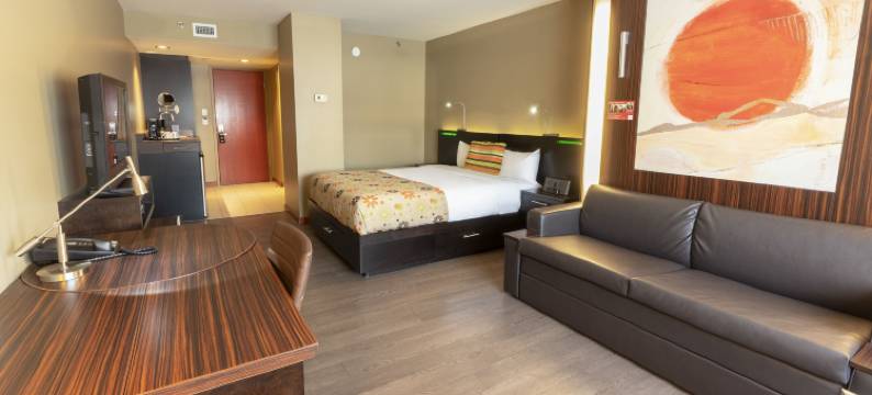 马斯特酒店(Hotel Must)图片