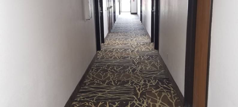 基奥卡克温德姆速8酒店(Super 8 by Wyndham Keokuk)图片