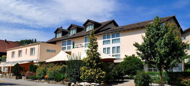 菲尔米斯酒店(Hotel Felmis)图片