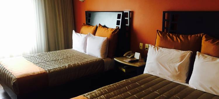 塞尔塔酒店(Hotel Celta)图片