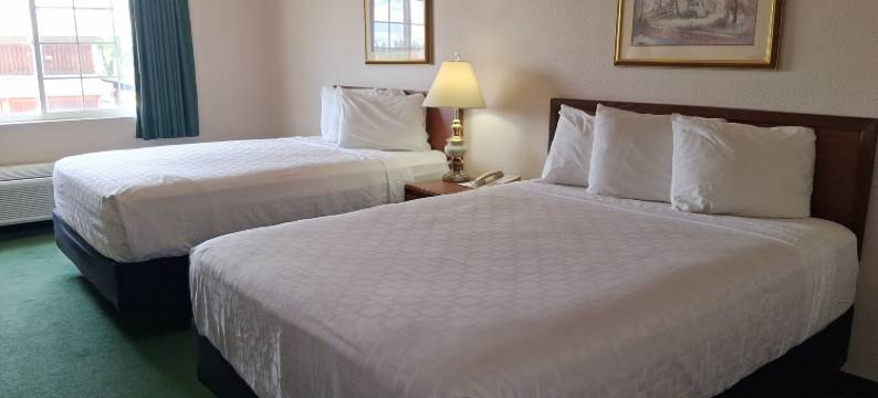 迈尔市菲布丽套房酒店(Fairbridge Inn and Suites - Miles City)图片