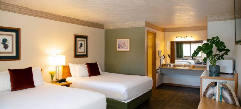 廷伯斯汽车旅馆(Timbers Motel)图片