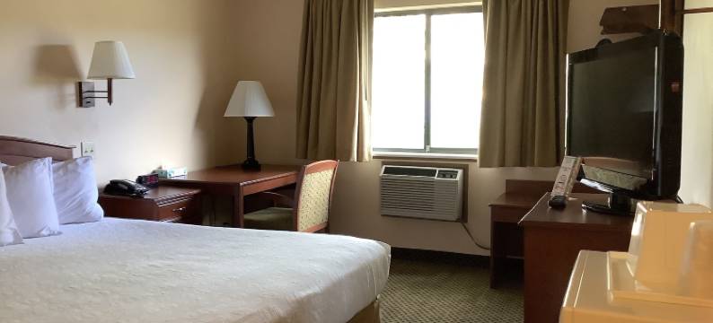 豪华套房酒店(Luxury Inn & Suites)图片