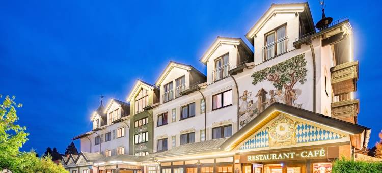 布鲁恩霍夫贝斯特韦斯特酒店(Best Western Hotel Brunnenhof)图片