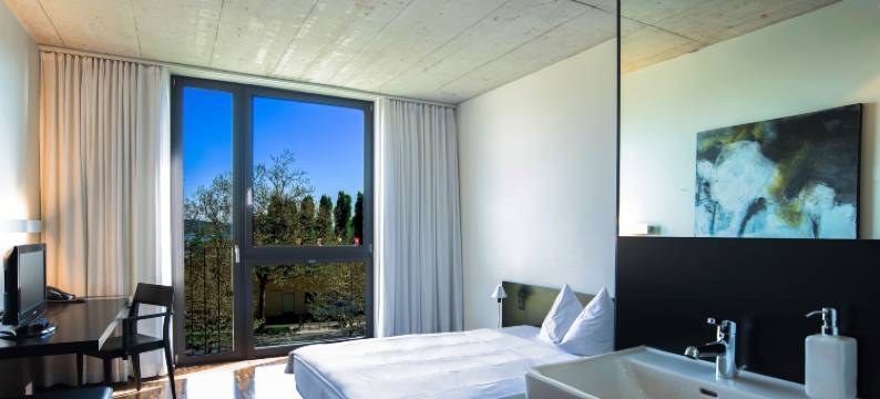 克罗伊茨林根酒店(Hotel Kreuzlingen am Hafen)图片