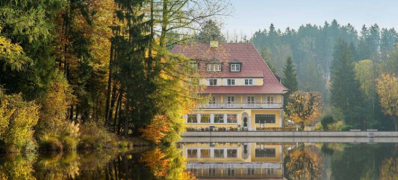 瓦尔德西酒店(Hotel Waldsee)图片