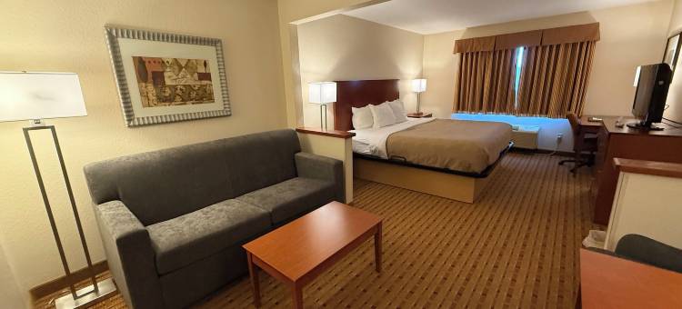 凯艺套房酒店(Quality Inn & Suites)图片