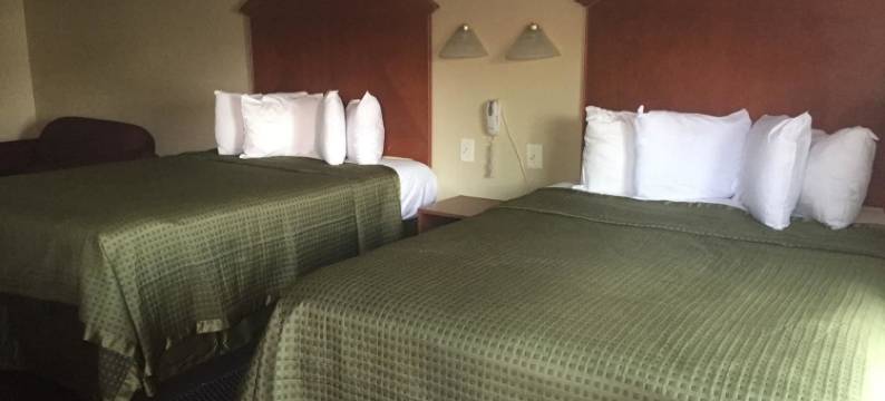 皇家旅馆(Royal Inn)图片