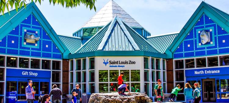 圣路易斯南美洲最佳价值酒店(Americas Best Value Inn-St. Louis / South)图片