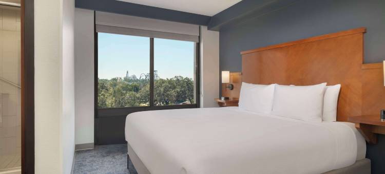 凯悦嘉轩酒店-坦帕布希花园(Hyatt Place Tampa Busch Gardens)图片