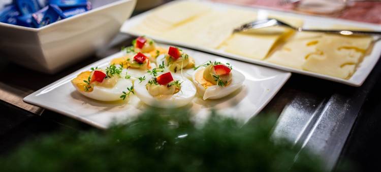 里德H +酒店(H+ Hotel Ried)图片