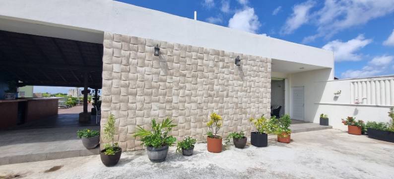 空苏美尔广场酒店(Hotel Plaza Cozumel)图片