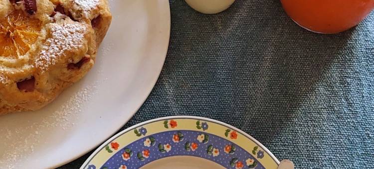 橄榄平原酒店(La Piana Degli Ulivi)图片