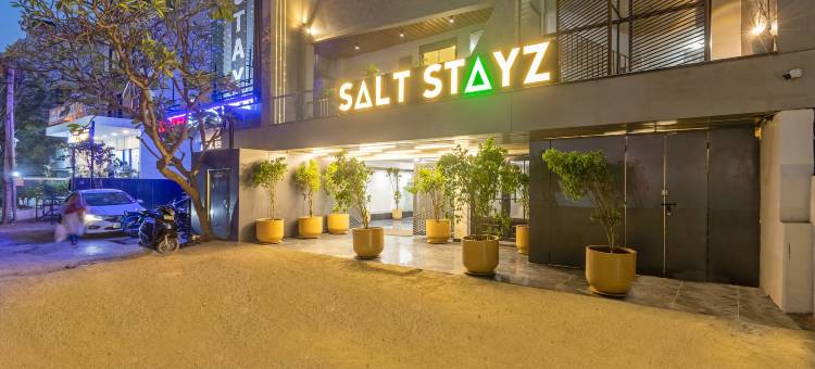 盐住高级酒店 - 西维哈尔(Saltstayz Premier - Paschim Vihar)图片